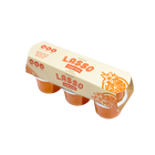 Single 6 pack Lasso brand orange cream gelatin on a white background