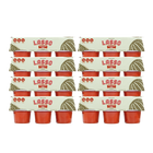 8 packages of Lasso brand watermelon lime gelatin packs on a white background